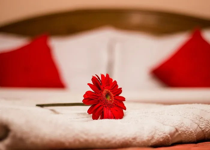 Kamal Hotel